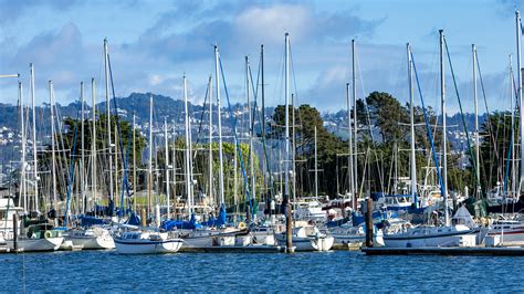 www.berkeley.rmcpay|city of berkeley pay ticket.
